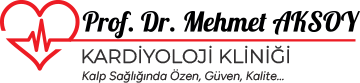 Prof. Dr. Mehmet Aksoy