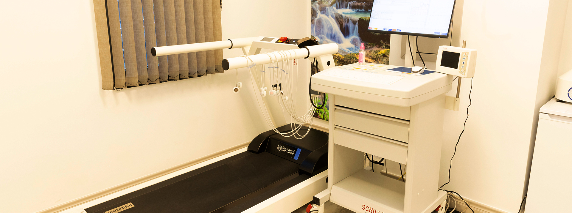 Efor Testi (Treadmill)